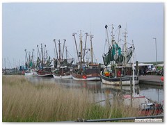Kutterhafen Spieka-Neufeld
